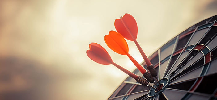 Photo of dartboard bullseye representing Daniel F. Lindley's fiduciary experience